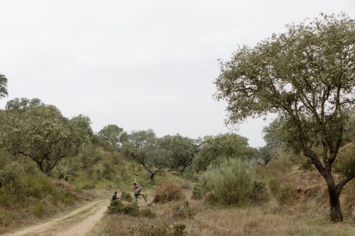00138- Caçada Melo Pego do Lobo 2025