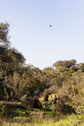 00138- Caçada Pego do Lobo fim época 2026