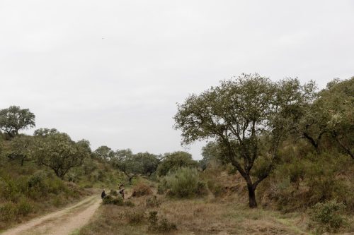 00139- Caçada Melo Pego do Lobo 2025