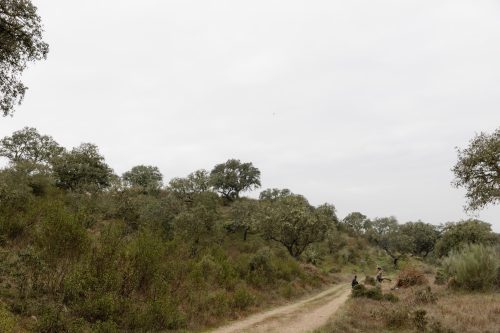 00140- Caçada Melo Pego do Lobo 2025