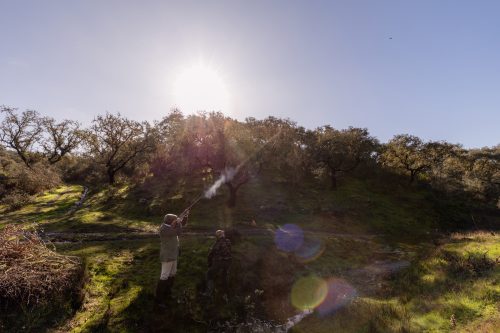 00141- Caçada Pego do Lobo fim época 2026