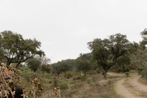 00143- Caçada Melo Pego do Lobo 2025