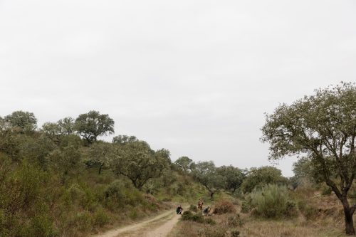 00144- Caçada Melo Pego do Lobo 2025