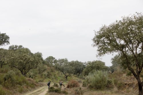 00145- Caçada Melo Pego do Lobo 2025