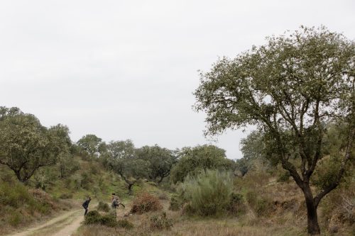 00146- Caçada Melo Pego do Lobo 2025