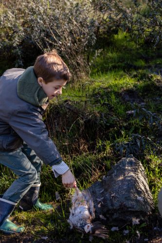 00148- Caçada Pego do Lobo fim época 2026