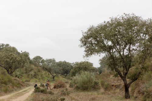 00149- Caçada Melo Pego do Lobo 2025