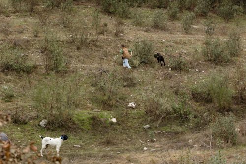00153- Caçada Melo Pego do Lobo 2025