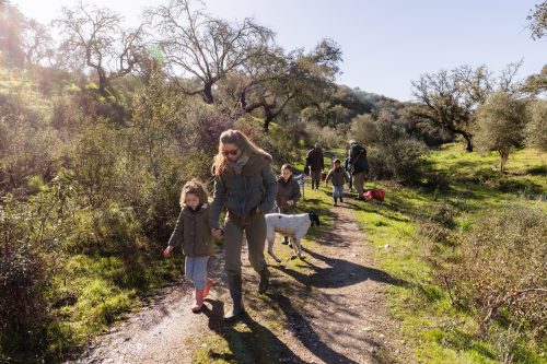 00154- Caçada Pego do Lobo fim época 2026