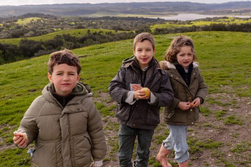 00161- Caçada Pego do Lobo fim época 2026
