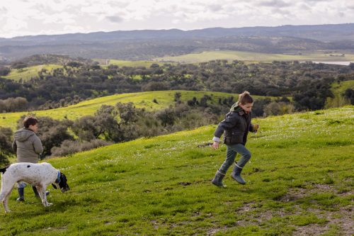 00162- Caçada Pego do Lobo fim época 2026