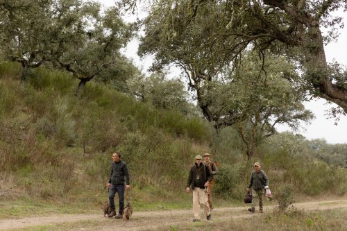 00166- Caçada Melo Pego do Lobo 2025