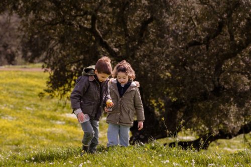 00171- Caçada Pego do Lobo fim época 2026