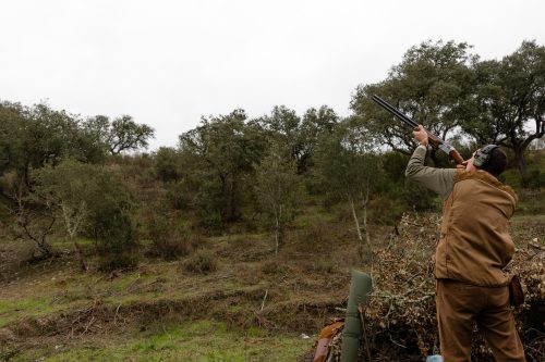 00182- Caçada Melo Pego do Lobo 2025