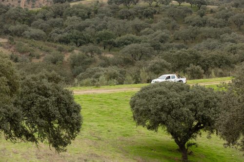 00201- Caçada Melo Pego do Lobo 2025