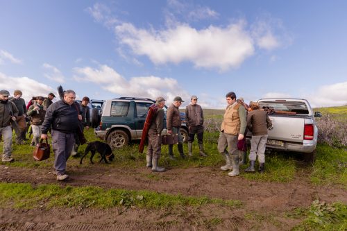 00224- Caçada Pego do Lobo fim época 2026