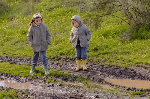 00231- Caçada Pego do Lobo fim época 2026