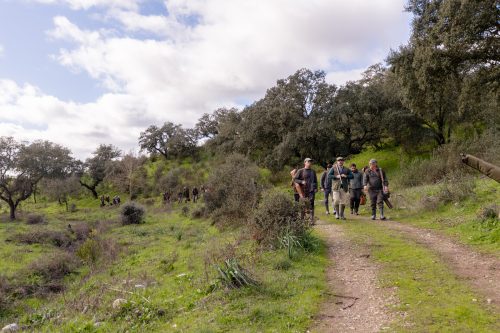 00241- Caçada Pego do Lobo fim época 2026