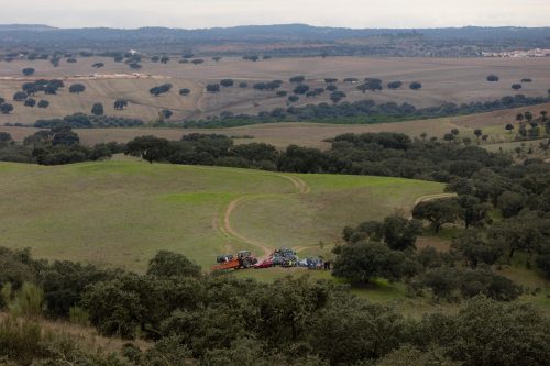 00243- Caçada Melo Pego do Lobo 2025