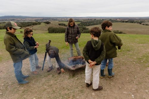 00244- Caçada Melo Pego do Lobo 2025