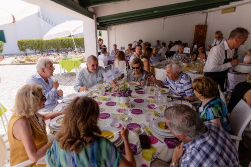 00246- 70 Anos Antonio Victor Melo