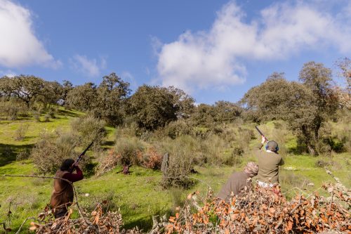 00252- Caçada Pego do Lobo fim época 2026