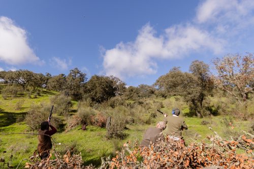 00253- Caçada Pego do Lobo fim época 2026