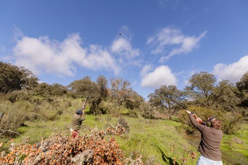 00254- Caçada Pego do Lobo fim época 2026