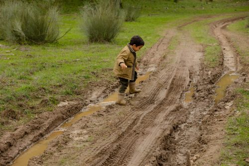 00255- Caçada Melo Pego do Lobo 2025