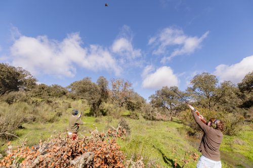 00255- Caçada Pego do Lobo fim época 2026