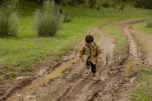 00256- Caçada Melo Pego do Lobo 2025