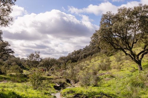 00257- Caçada Pego do Lobo fim época 2026