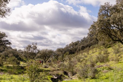 00258- Caçada Pego do Lobo fim época 2026