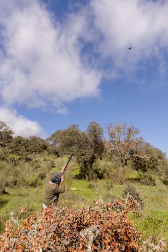 00259- Caçada Pego do Lobo fim época 2026