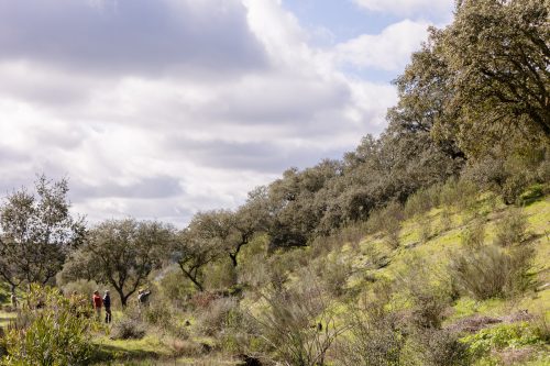 00260- Caçada Pego do Lobo fim época 2026