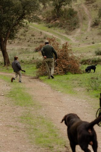00261- Caçada Melo Pego do Lobo 2025