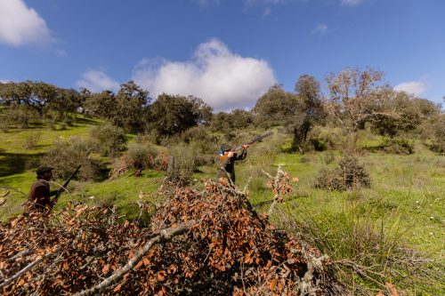 00261- Caçada Pego do Lobo fim época 2026