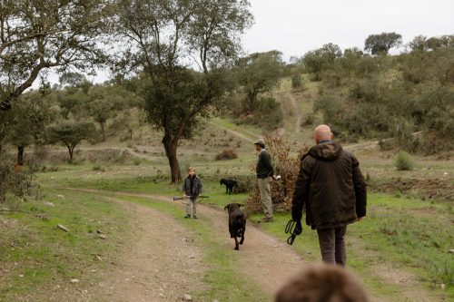 00262- Caçada Melo Pego do Lobo 2025