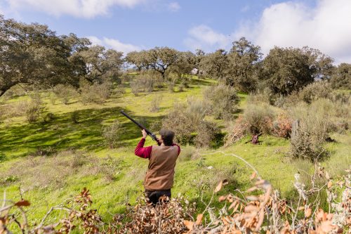 00263- Caçada Pego do Lobo fim época 2026