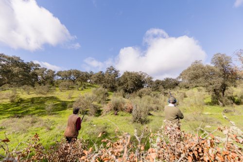 00264- Caçada Pego do Lobo fim época 2026