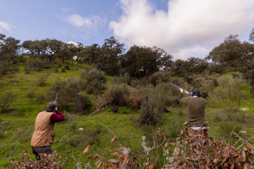 00267- Caçada Pego do Lobo fim época 2026