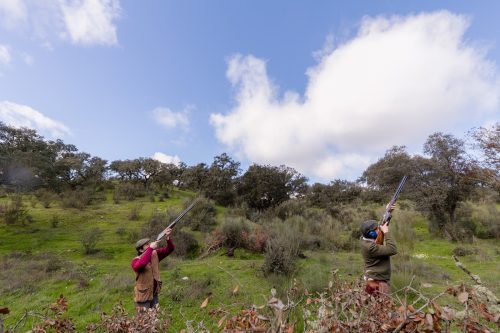 00268- Caçada Pego do Lobo fim época 2026