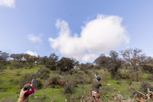 00269- Caçada Pego do Lobo fim época 2026