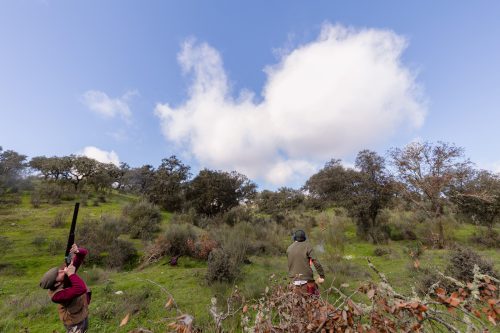 00270- Caçada Pego do Lobo fim época 2026