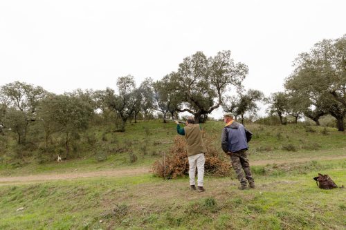 00272- Caçada Melo Pego do Lobo 2025
