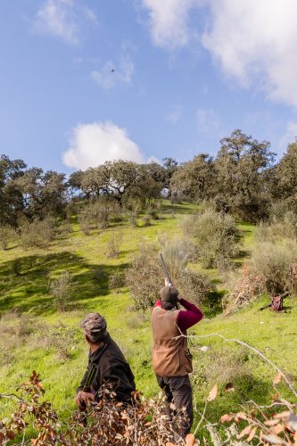 00273- Caçada Pego do Lobo fim época 2026