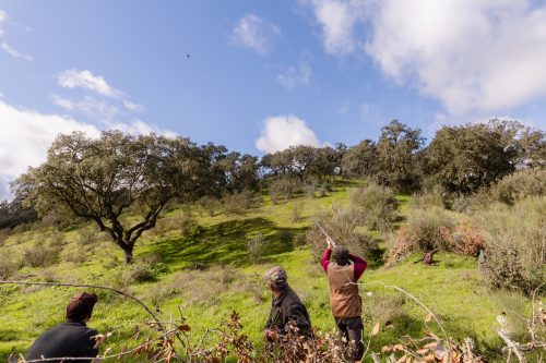 00274- Caçada Pego do Lobo fim época 2026