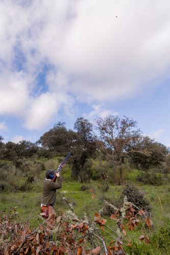 00275- Caçada Pego do Lobo fim época 2026