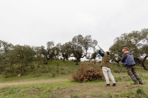 00276- Caçada Melo Pego do Lobo 2025