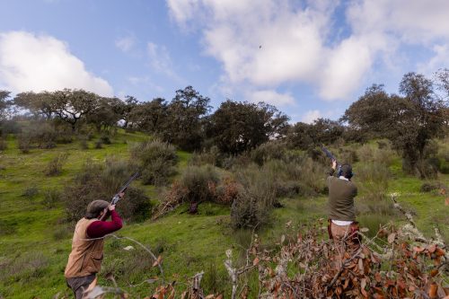 00276- Caçada Pego do Lobo fim época 2026